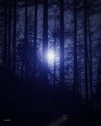 A Cabin In The Woods At Night Elanvalley Wales Night Cabin Night In The Wood Cabins In The Woods Night Aesthetic
