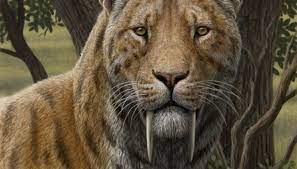 Paleoart Mauricio Anton Pattedyr Forhistorisk Fossiler
