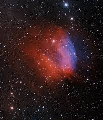 Image result for Searsia nebulosa
