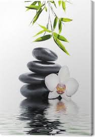 Tableau Sur Toile Orchidee Blanche Fleur Fin Bambou Sticker Mural Peinture Zen Toile Tableau Tableau Zen