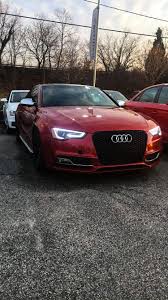 Image result for Volcano Red 2014 AQ