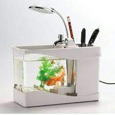 Aquarium ini pernah dijual di jepang dengan harga sekitar 146 juta rupiah. Aquarium Unik Bentuk Mini Tinggal Colok Usb Harga Jual Com