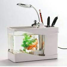 Business center in batam, riau, indonesia. Aquarium Mini Unik Menarik Tinggal Colok Usb Saja
