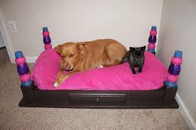 Pin By Phoebe Caulfield On Dogs Rule Diy Dog Bed Pallet Dog Beds Diy Dog Stuff
