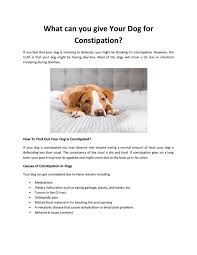 We did not find results for: What Can You Give Your Dog For Constipation By Dogexpress Issuu