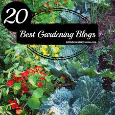 Fantastic Garden Blogs To Love With Real Gardeners Family Food Garden Gardening Blog Food Garden Urban Garden
