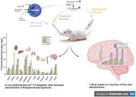 Image result for Rolapitant