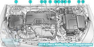The location of the fuel filter in a 2007 chevrolet silverado may be found in the diagram of the engine in the owner's manuel found. 2012 Chevrolet Malibu Engine Diagram Wiring Diagram Bell Sequencing Bell Sequencing Bibidi Bobidi Bu It