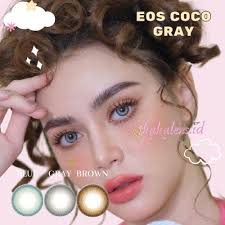 Harga coco grey soflen Terbaru Apr 2025
