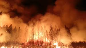 Players freely choose their starting point with their parachute, and aim to stay in the safe zone for as long as possible. Wildfire Wikipedia