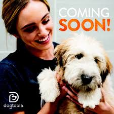 THE BEST 10 VETERINARIANS near CONNELLSVILLE, PA 15425