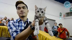 Kelab kucing malaysia can be abbreviated as kkm. Kelab Kucing Malaysia Fife Cindy S Recipe Pet World 2016 Mid Valley Megamall Youtube