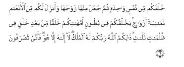 Dan (kitab) yang diturunkan kepadamu (muhammad) dari tuhanmu itu adalah benar; Quran Surahs Translations Transliterations Quran Scripts Texts Meanings Arabic Quran In World Languages Quran In African Languages Quran In Asian Languages Quran In European Languages Translation Pdf Transcripts Words Texts Translations
