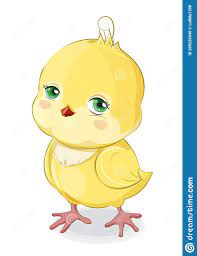 Cute Baby Chicken Stock Vector Illustration Of Nature 205226340