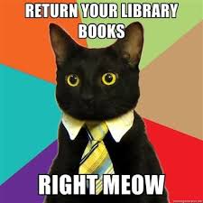 Not a meme, but could be useful for memes. Falvey Memorial Library Caturday Cat Meme Collection