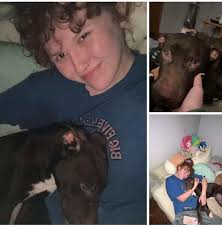 Manhattan ACC: BEYOND CRITICAL ‼️ He was dumped.😠 Good with kids, cats and  other dogs‼️‼️‼️ KILL LISTED for 5/29/25 📣📣📣📣 🚨🚨🚨🚨🚨🚨🚨🚨🚨🚨🚨  🆘️🆘️🆘️🆘️🆘️🆘️🆘️🆘️🆘️🆘️🆘️  https://www.facebook.com/mldsavingnycdogs/posts/great ...