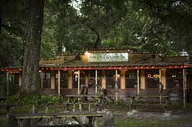 5 Things To Do Around Gainesville Fl Old Florida Gainesville Florida Gainsville Florida