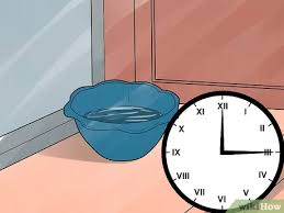 4 Ways To Get Rid Of Paint Smells Wikihow