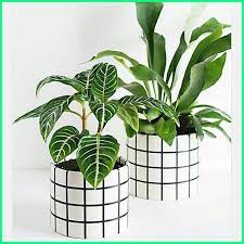 Jual pot bunga cantik tipe pot egg terrazzo finising mengkilat kota depok cv nuansa hijau tokopedia. 10 Ide Kreatif Pot Tanaman Kecil Unik Dan Lucu Ekor9 Com Ekor9 Com