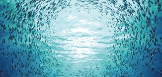 Image result for sea