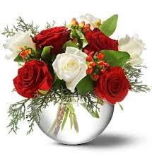 We are one of the finest flower shops in canton ohio located at 4315 hills & dales rd nw, just east of whipple rd. Red And White Rose Bowl Christmas Flower Arrangements Christmas Floral Arrangements Christmas Flowers