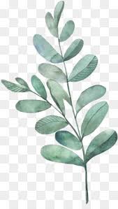 Autumn Leaves Png Autumn Leaves Transparent Clipart Free Download Download Autumn Hand Painted Autumn Leaves Watercolor Leaves Leaf Illustration Leaf Art