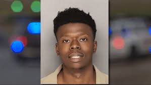 12-foot, 500-pound alligator caught at Lake Moultrie