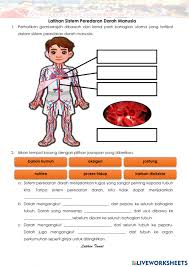 Klik sini untuk mendapatkan contoh soalan ukkm mrsm 2020. Actividad Online De Tahun 5 Sistem Peredaran Darah Manusia
