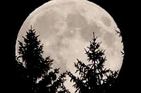 Apakah makna mimpi melihat bulan fimela fimela com. Fungsi Bulan Bagi Kehidupan Di Bumi Halaman All Kompas Com