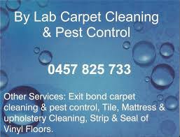 At icarpet clean and pest control, we have a plethora of varied services in store for you, one of the main ones being carpet cleaning and pest control in brisbane. By Lab Carpet Cleaning Pest Control Po Box 165 Gympie Qld 4570