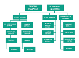 Organization Chart Andhima