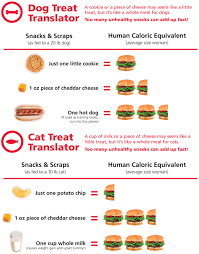 learn what human food does to your pets weight hills pet