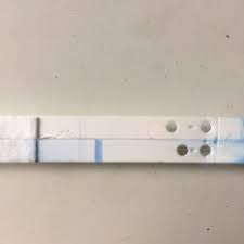 Anyone Taken A Clearblue Digital Apart Lots Of Symptoms 8dpo Not Pregnant Result Anyone Else Glow Community