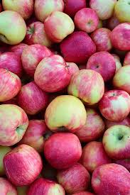 Eliminate crossing branches, watersprouts, and crowded growth. How To Grow And Care For Apple Trees Gardener S Path