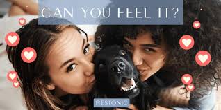 Arwood's Furniture & Mattress