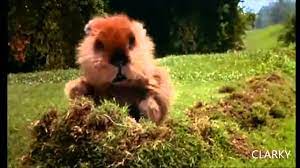 Hire our brand new air juggling ballpool for your next party. Wiggle It Just A Little Bit Youtube