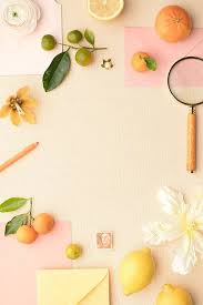 Maemae X Sc Stationery Collection Citrus 3 Styled Stock Photography Stationery Collection Stationery