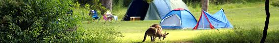 Shower in privacy with the tuff terrain shower tent, doubling as a convenient toilet tent and change room that folds out for the ultimate in portability and convenience. Companion 12 Volt Rechargeable Oscillating Fan