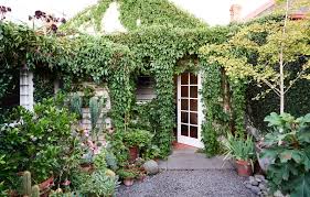 David Rosetzky And Sean Meilak The Design Files Australia S Most Popular Design Blog Plants Plant Life Little Gardens