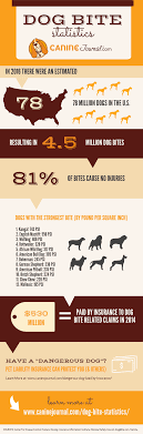 dog bite statistics how likely are you to get bit