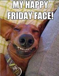 Funny Pictures 41 Pics Funny Friday Memes Funny Animals Friday Quotes Funny