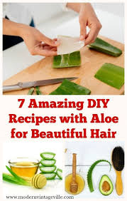 7 Amazing Diy Recipes With Aloe For Beautiful Hair Modern Vintage Ville 2020 Sac Maskeleri Kendin Yap Sac Aloe
