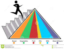 food pyramid chart stock vector illustration of nutritional