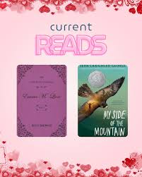 What books did you read this month? Do you have any recommendations?  Confession time, I may be a little addicted to the Unselected Journals of  Emma L. Lion by Beth Brower. If