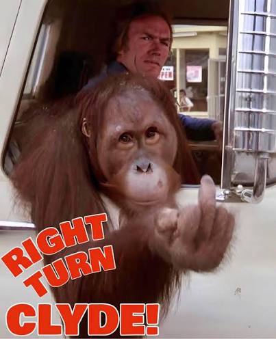 Every Which Way but Loose (1978).