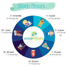 Mattresses, adjustable bed frames, mattress protectors Zzleep My Baby Sleep Calculator How Many Hours My Baby Should Sleep And How Many Naps My Baby Should Have
