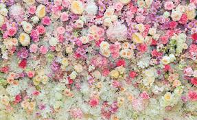 Blurred beautiful flower soft color from sontaya chaisamutr/shutterstock. Fototapete Tapete Beautiful Flowers Pastel Colours Bei Europosters Kostenloser Versand
