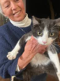 Lost small white poodle shih tzu mix near Pismo Beach