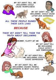 Declawing Cats Vets Cat Life Declawing Cats
