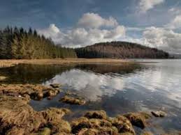 Sound Of Silence G Zamfir Klassikusok Zene